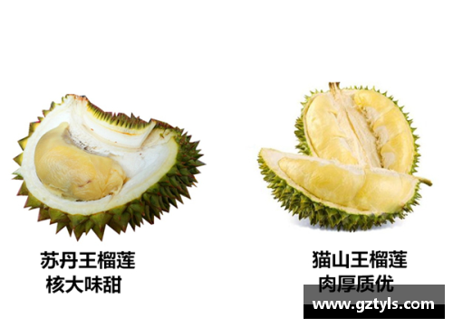 马来西亚榴莲等级排名？(马来西亚分多少个城市？)